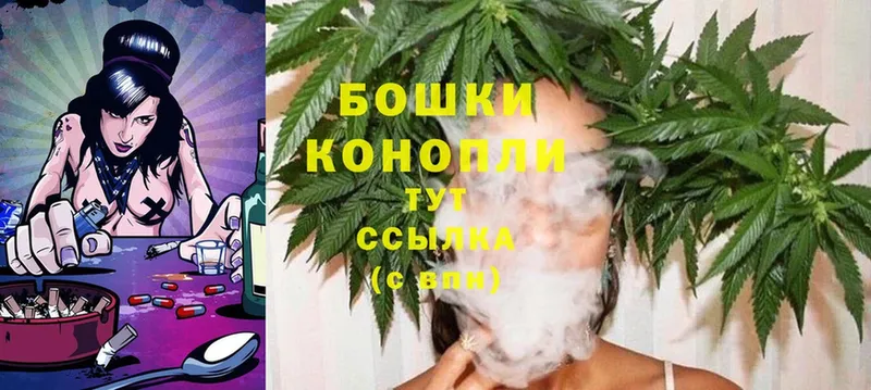 Конопля White Widow  закладка  Майский 